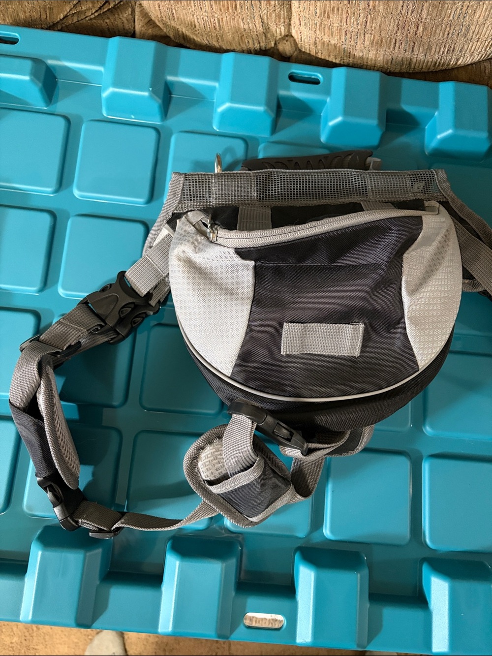 Small dog back pack